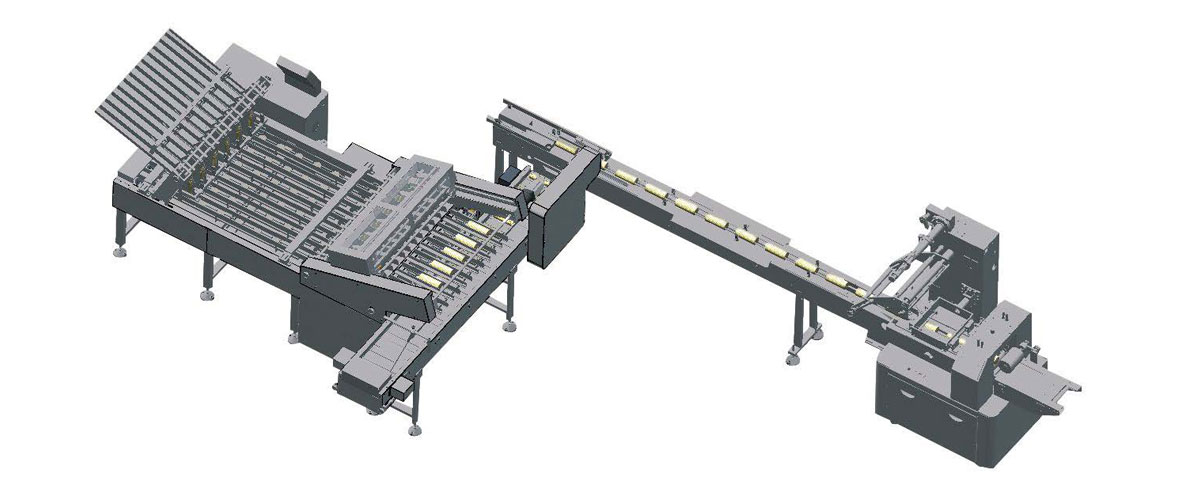 Cookies Biscuit Counting and Packaging System(Cover)