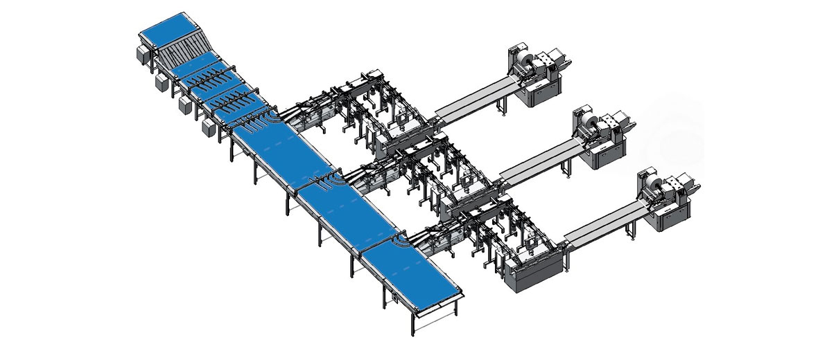 Sandwiich Biscuit Packaging System(Cover)