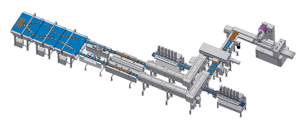 Group Packaging Solution with Auto Tray Loading Unit(Cover)